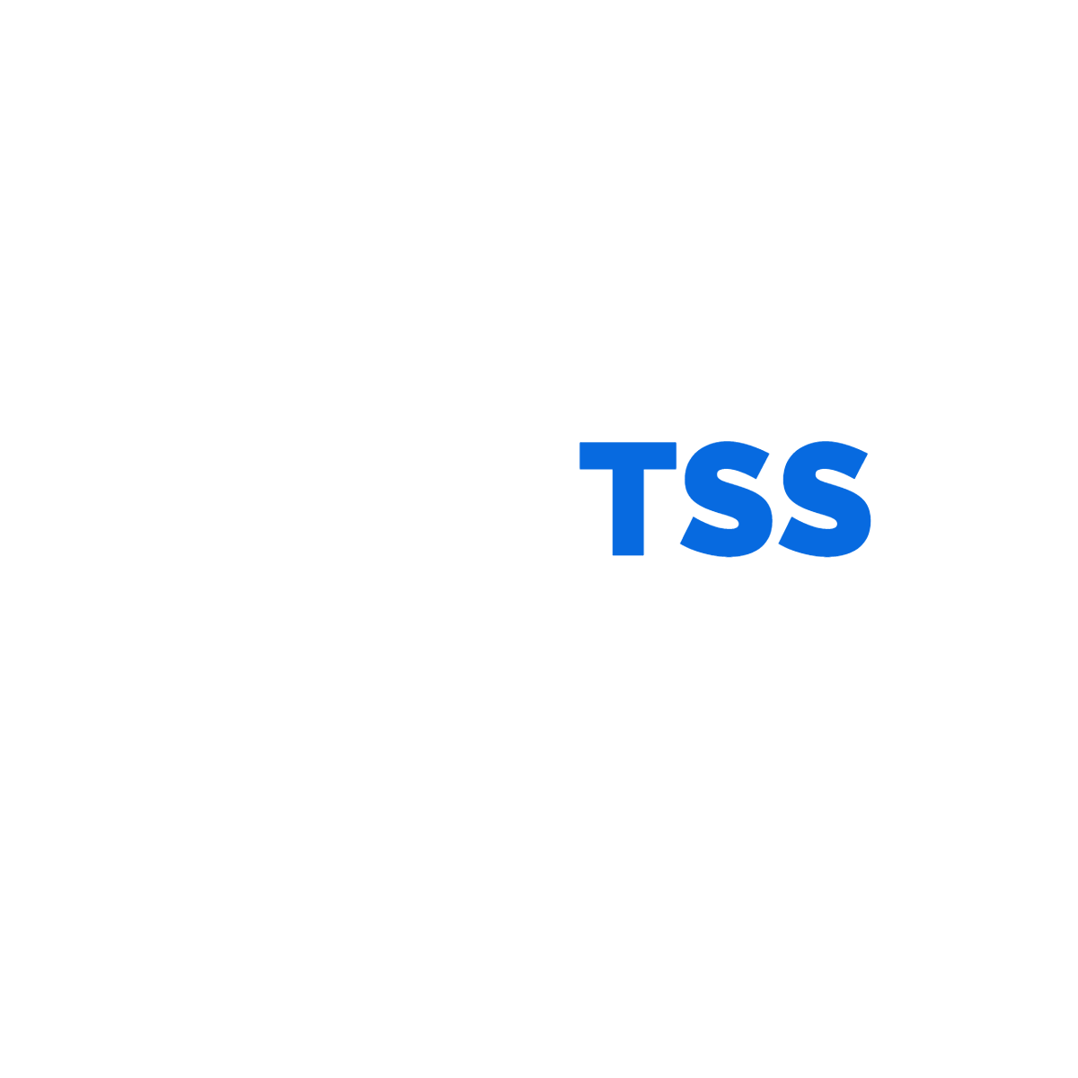 About Us Take A Look – Trinity System Services